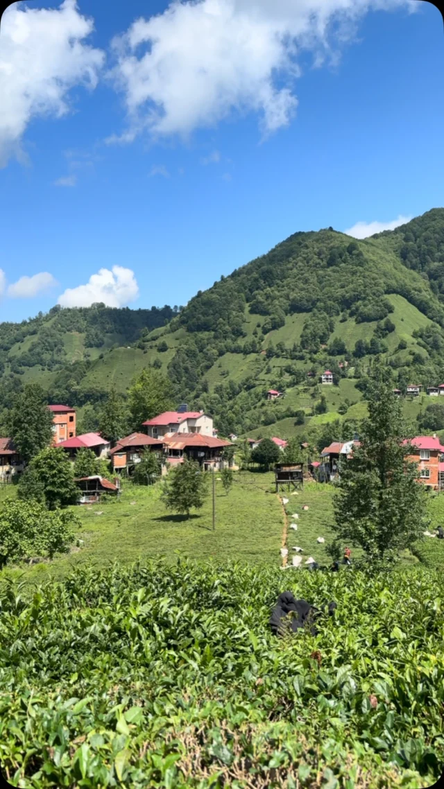 Instagram gönderisi 18119326282874303