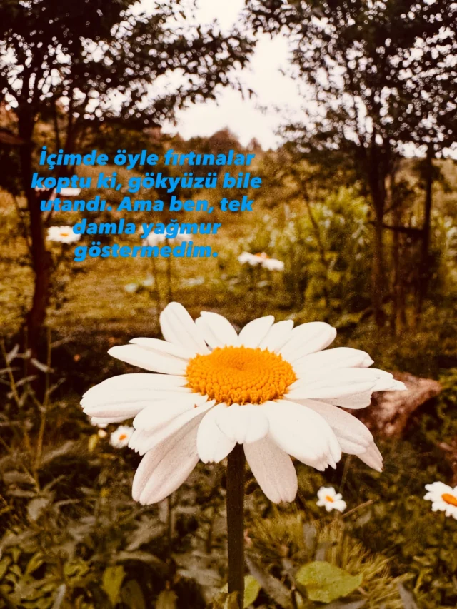 İçimde öyle fırtınalar koptu ki, gökyüzü bile utandı. Ama ben, tek damla yağmur göstermedim.